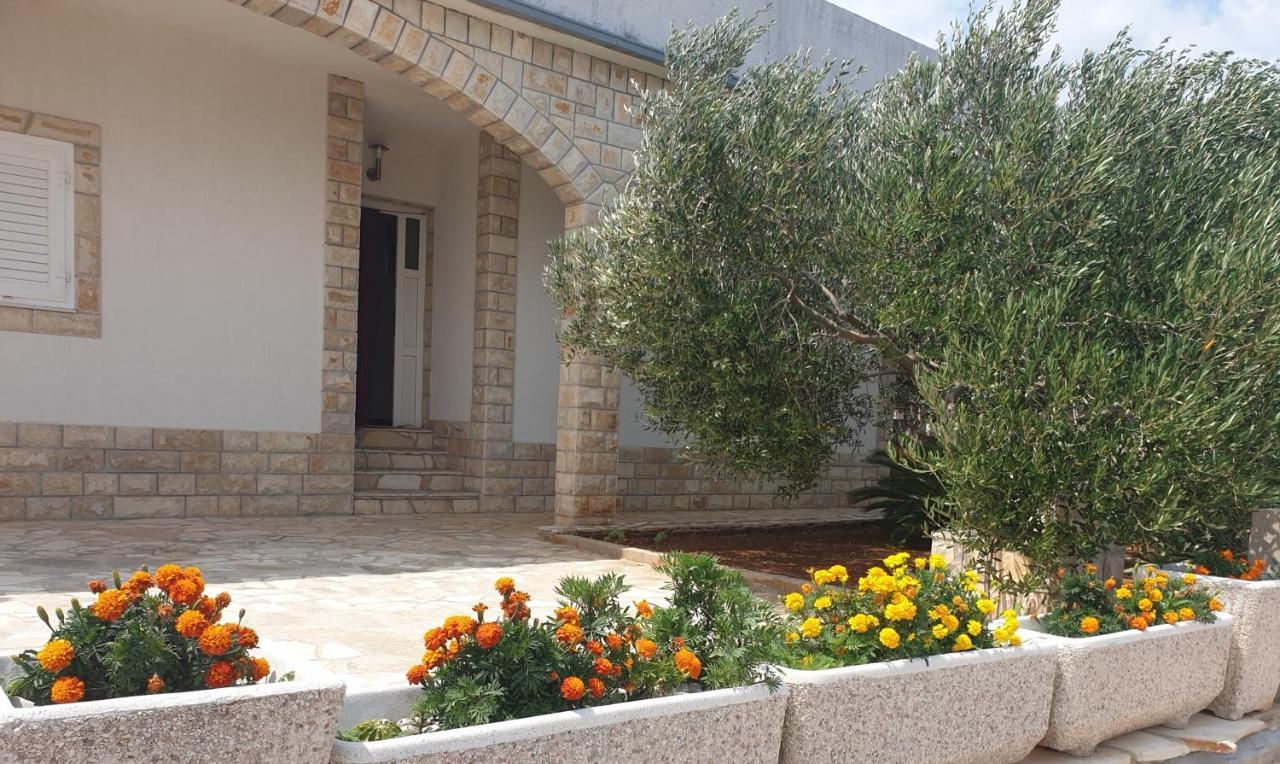 Villa Senka Necujam Exterior photo